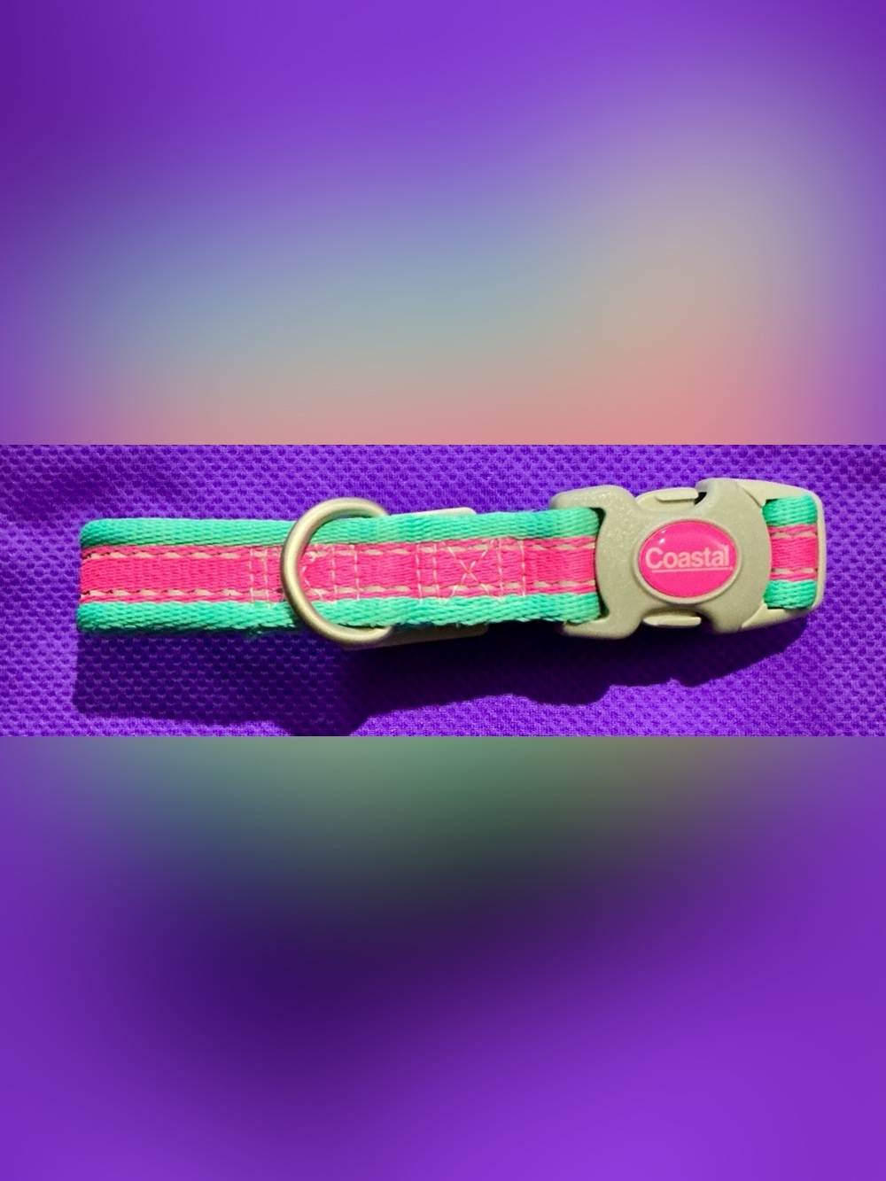 🐾 Coastal Bright Pink & Teal Adjustable Pet Collar with Metal D-Ring